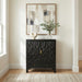 Obsidian 2 Door Accent Cabinet image
