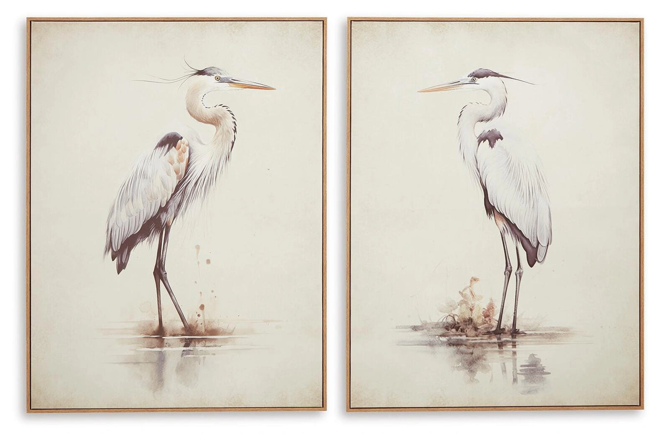Aubinell Collection